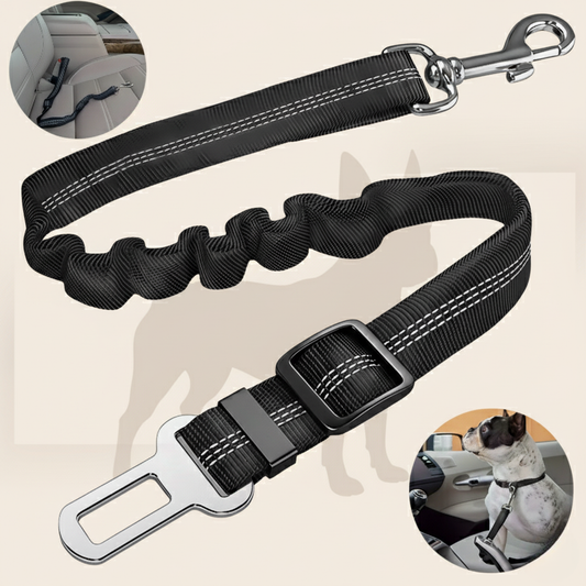 DogTrav - Sicherheitsgurt für kleine und große Hunde